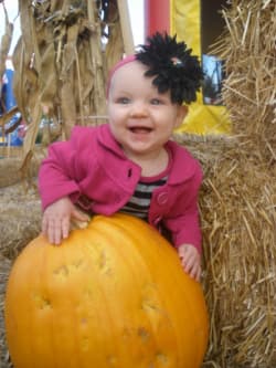 Hunter's Pumpkin Patch — Pumpkin patches