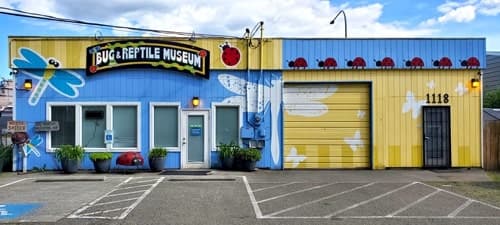 Bug & Reptile Museum — Free museum days