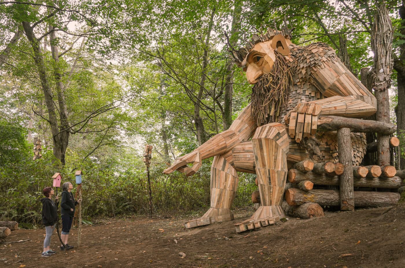 Oscar the Bird King — Trolls