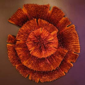 International Quilt & Fiber Arts Festival — Festival