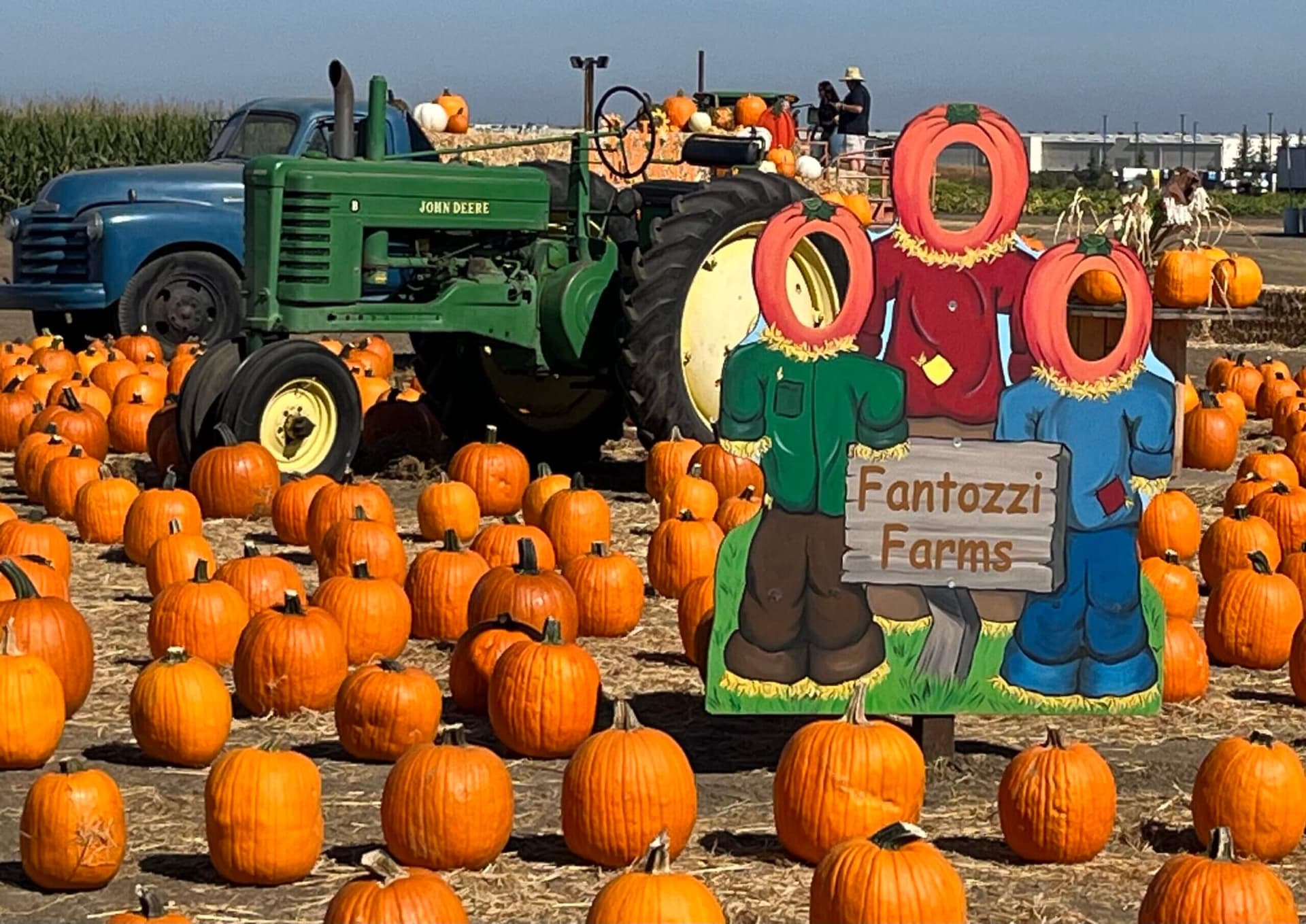 Fantozzi Farms Corn Maze and Pumpkin Patch — Pumpkin patches
