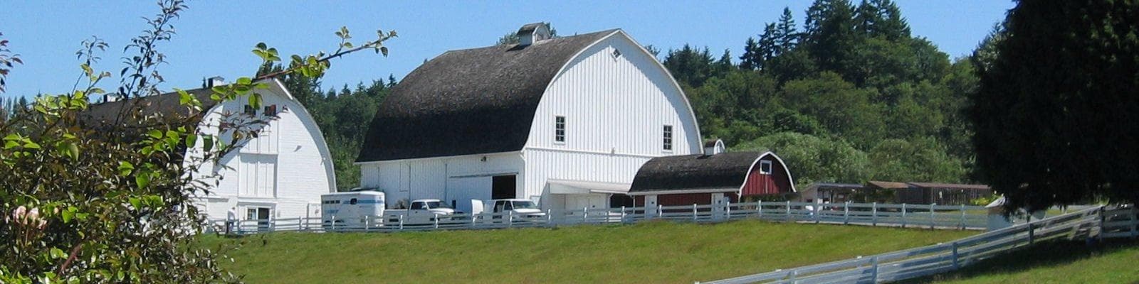Kelsey Creek Farm Fair — Festival